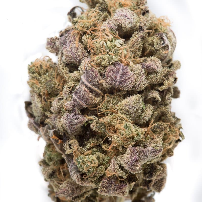 Amnesia Haze