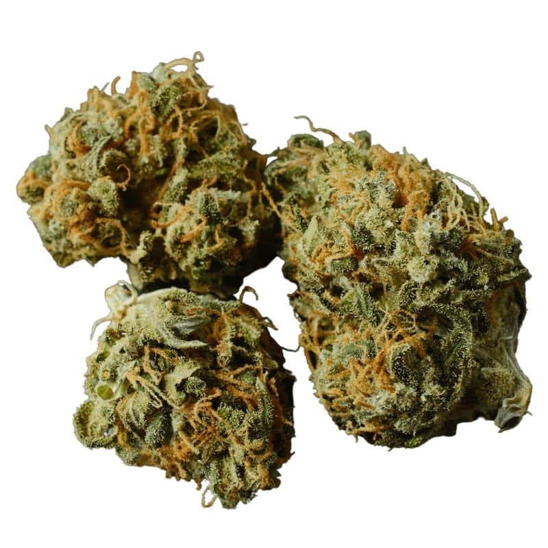 Mango Haze